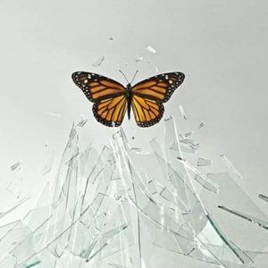 Meet your Posher, Maria guadalupe